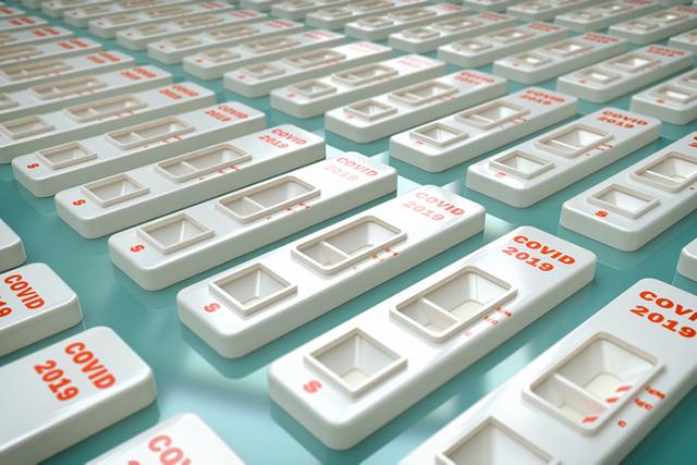 Media Name: rapidtest.jpg