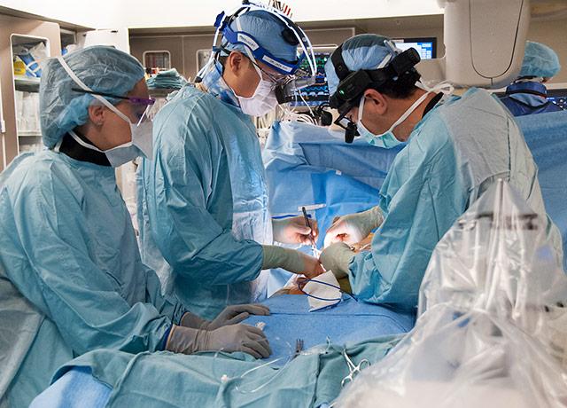 Media Name: tavr_procedure_uwmc.jpg