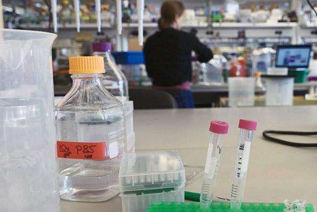 Media Name: uw_medicine_lab_scene2.jpg