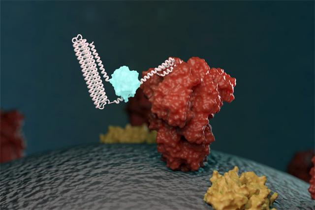 Media Name: uwmedicine2_covid_biosensor_640_1000px_copy.jpg