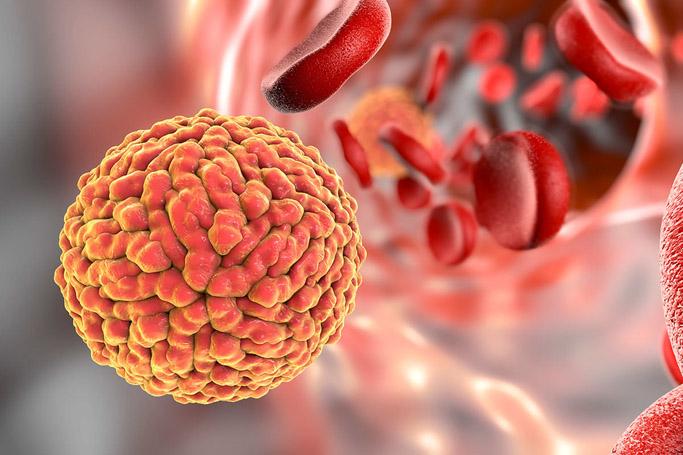 Media Name: zika_smaller_f0127511-zika_virus_in_blood_illustration-spl-1200x800.jpg