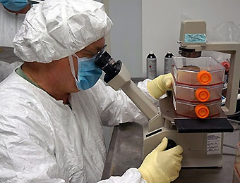 picture of researchers working with a Zika vaccine in test.